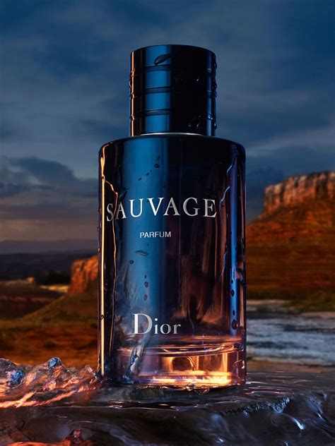 hermes sauvage|Sauvage Dior cologne .